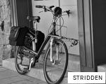 STRIDDEN anagram