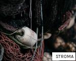 STROMA anagram