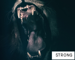 STRONG anagram