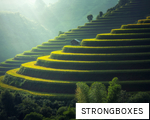 STRONGBOXES anagram