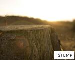 STUMP anagram