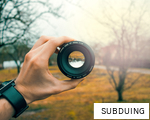 SUBDUING anagram