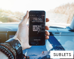 SUBLETS anagram