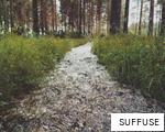 SUFFUSE anagram