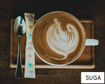 SUGA anagram