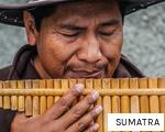 SUMATRA anagram