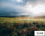 SUNB anagram