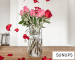 SUNUPS anagram