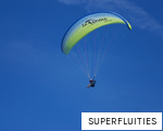 SUPERFLUITIES anagram