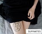 SUPINATES anagram