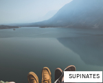 SUPINATES anagram