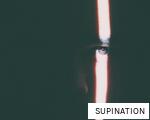 SUPINATION anagram