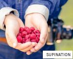 SUPINATION anagram