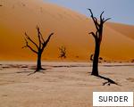 SURDER anagram