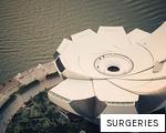 SURGERIES anagram