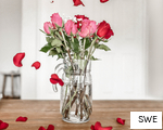 SWE anagram