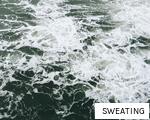 SWEATING anagram