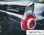 SWORDTAIL anagram