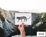 SYM anagram