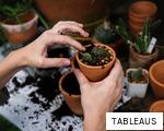 TABLEAUS anagram