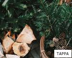 TAPPA anagram