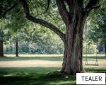 TEALER anagram