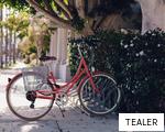 TEALER anagram