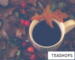 TEASHOPS anagram