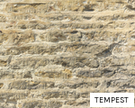 TEMPEST anagram