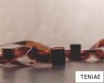 TENIAE anagram