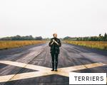 TERRIERS anagram