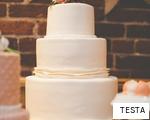 TESTA anagram