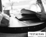 TESTACEAN anagram