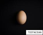 TESTACEAN anagram