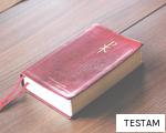 TESTAM anagram