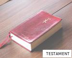 TESTAMENT anagram