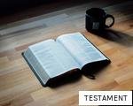 TESTAMENT anagram