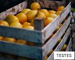 TESTES anagram