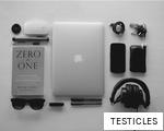TESTICLES anagram