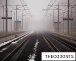 THECODONTS anagram