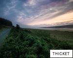 THICKET anagram
