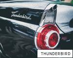 THUNDERBIRD anagram