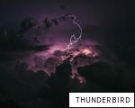 THUNDERBIRD anagram