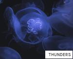 THUNDERS anagram