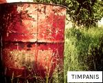 TIMPANIS anagram