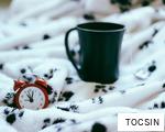 TOCSIN anagram