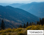TORNADOS anagram