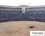 TORUSES anagram