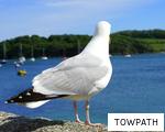 TOWPATH anagram