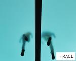 TRACE anagram